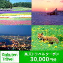 【ふるさと納税】北海道の対象施設で使える楽天トラベルクーポン 寄付額100,000円