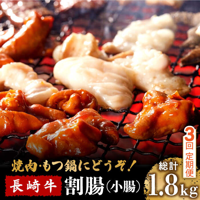 【3回定期便】長崎牛 割腸（小腸） 焼肉・ホルモン鍋 用 600g  / ホルモン 牛 もつ鍋 南島原市 / はなぶさ [SCN115]