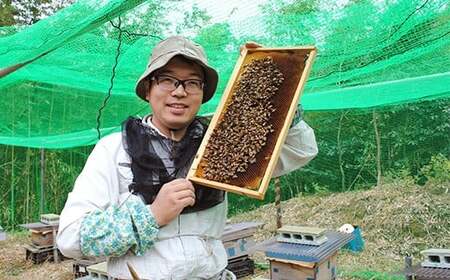 純国産 非加熱 天然 雪見草はちみつ 260g｜非加熱 純粋 天然 蜂蜜 単花蜜 ゆきみそう ハチミツ ギフト｜千葉県 君津市