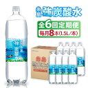 【ふるさと納税】【全6回定期便】強炭酸水 1.5L×8本 糸島市 / スターナイン 炭酸水 大容量 [ARM007] 36000円 常温