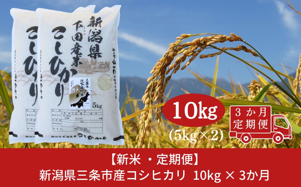 
            先行予約 コシヒカリ定期便10kg(5kg×2袋)×3回 新潟県 三条市 下田産 こしひかり 10kg 精米 白米 【060S010】
          