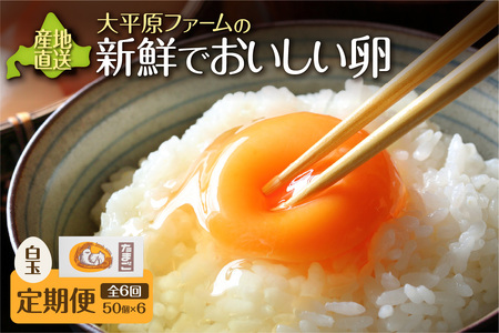 【6回定期便】大平原ファームの新鮮でおいしい卵 計50個(白卵)×6ヶ月【 北海道 清水 卵 300個 こだわり卵 卵かけご飯 玉子 タマゴ 卵焼き TKG 温泉卵 オムレツ ゆでたまご 栄養満点  国産 定期便 】_S035-0007