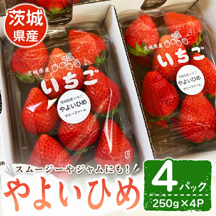 【ふるさと納税】【先行予約】いちご（やよいひめ） いちご イチゴ 苺 やよいひめ フルーツ 果物 くだもの デザート スムージー ジャム 【株式会社mommy farm】【ho1593】