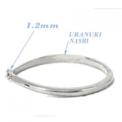 ふるさと納税 笛吹市 PT900ダイヤモンド リング 0.02CT RADR-6525DI-P #10 |  | 01