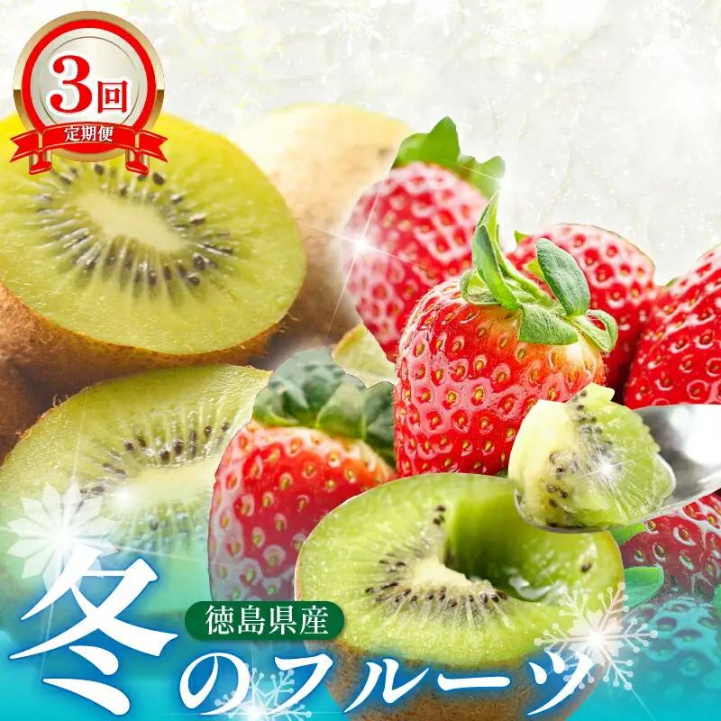 フルーツ 定期便 全3回 フルーツ定期便