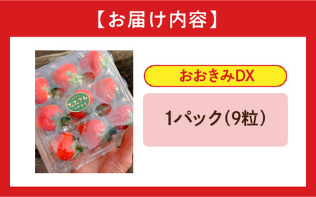 《2025年発送先行予約》【数量・期間限定】宮崎県産いちご「おおきみDX」1パック（9粒） 大粒 甘い パイオニア