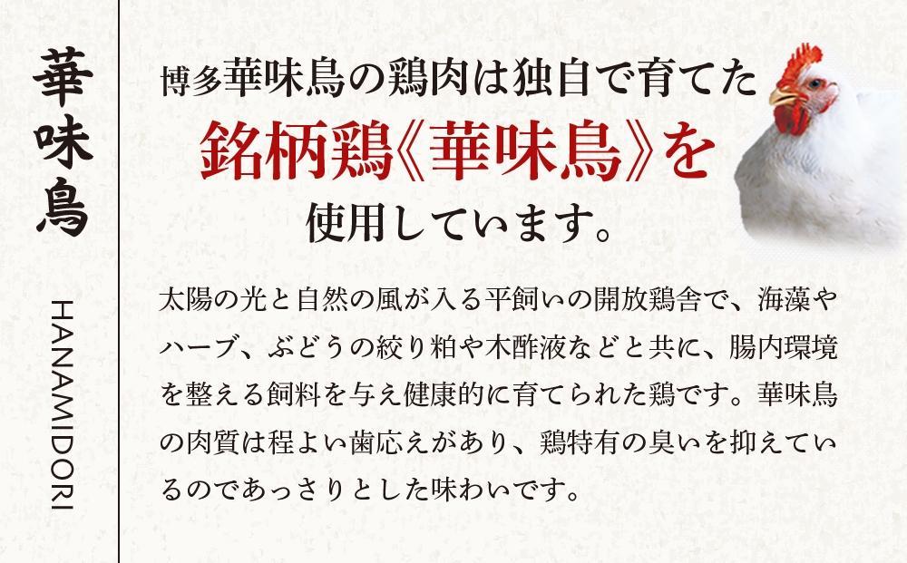 博多華味鳥　水たきセット　３～４人前　HS-A4 （ちゃんぽん麺付）