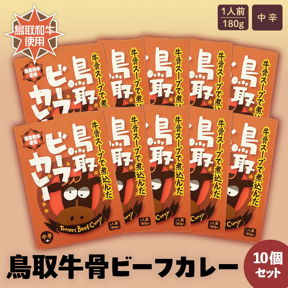 【ふるさと納税】鳥取 ビーフカレー 10個 セット レトルト 常温 備蓄 非常食