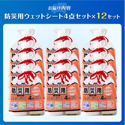 ふるさと納税 富士市 NB防災用ウェットシート4点セット×12セット [sf002-577] |  | 01