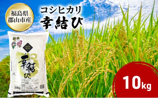 幸結び コシヒカリ 10kg 米 お米 精米 白米 こめ コメ 令和7年産 令和7年 福島県 郡山市