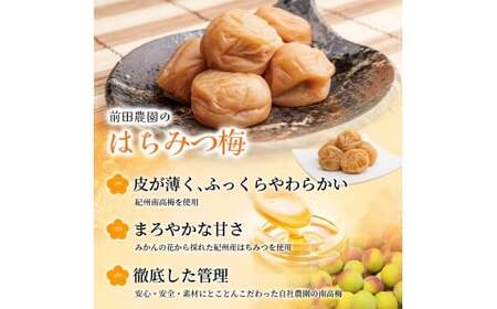 お試し★ 紀州南高梅 はちみつ梅(塩分8％) 200g×1パック / お歳暮 梅干し 梅干 うめぼし 南高梅 はちみつ梅 はちみつ梅干 はちみつ梅干し 蜂蜜 国産 梅 うめ ウメ 紀州みかんはちみつ 