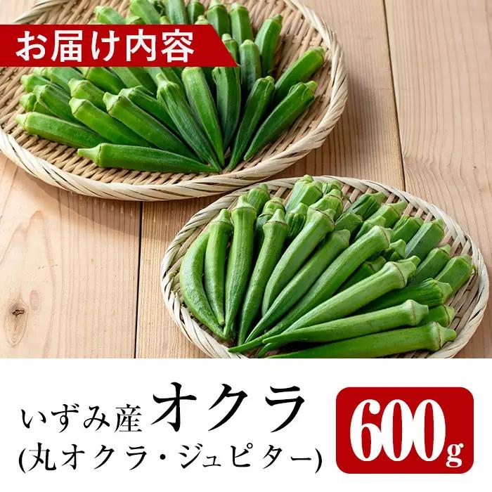 いずみ産 オクラ 2種 食べ比べ 600g 【イーサイドライン】 i1217-A