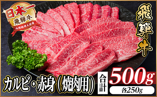 レビューキャンペーン実施中!飛騨牛 カルビ・赤身(焼肉・BBQセット)500g 小分け【配送不可地域：離島】