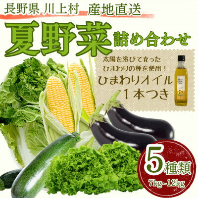 【ふるさと納税】【訳アリ】信州の冷涼な高原で育った 夏野菜詰め合わせ(5種類以上)+ひまわりオイル1本【配送不可地域：離島】【1609896】