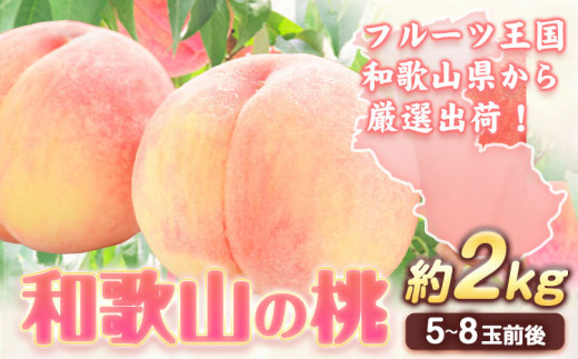 【2025年分先行予約】和歌山の桃 秀選品 約2kg 厳選館《2025年6月末-8月下旬出荷》和歌山県 日高町 果物 フルーツ 桃 もも 送料無料【配送不可地域あり】