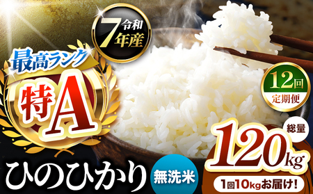 【 定期便 12回 】熊本県産 ひのひかり 無洗米 10kg | お米 米 こめ おこめ 精米 ヒノヒカリ 10キロ 国産 国産米 定期 くまもと 熊本 熊本県 玉名市 玉名