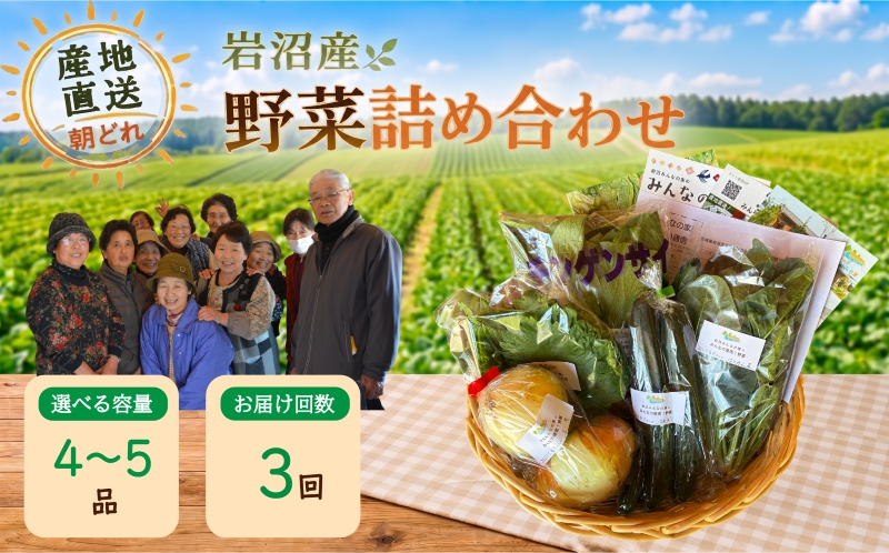 【定期便3ヶ月】宮城県 岩沼産 産地直送 朝どれ 新鮮野菜 4～5種類 詰め合わせセット