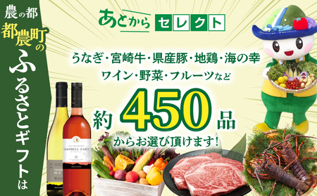≪期限1年間≫あとからセレクト 45,000円コース【ふるさとギフト】 あとから選べる カタログ ギフト 鰻 肉 ワイン 都農町_T998-008
