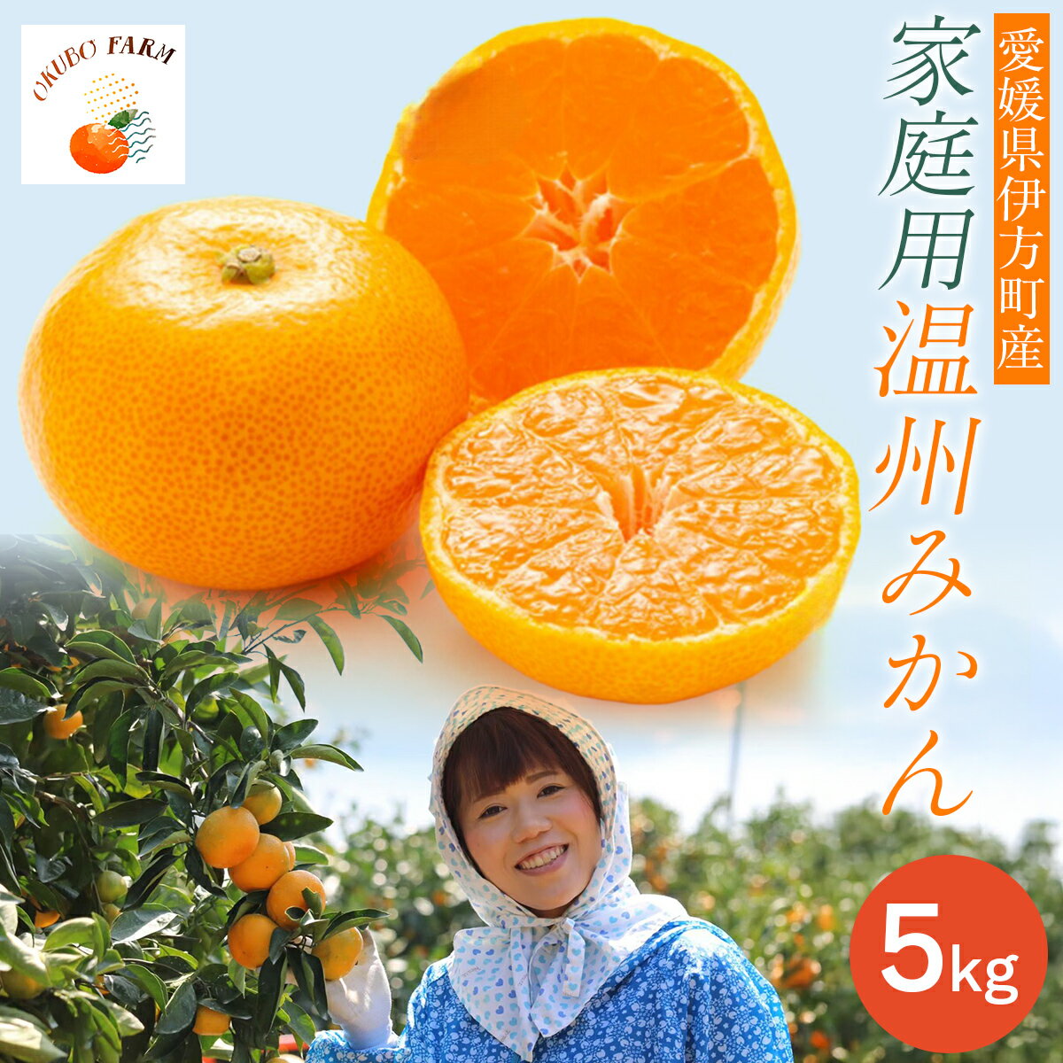 【ふるさと納税】【先行予約】【家庭用】温州みかん 5kg ※北海道・沖縄・離島への配送不可 （2025年12月1日より順次発送予定） 【 ふるさと納税 人気 おすすめ ランキング みかん フルーツ 温州みかん ミカン 温州蜜柑 果物 OKUBO FARM 愛媛県産 家庭用 愛媛県 】 IKTAT003