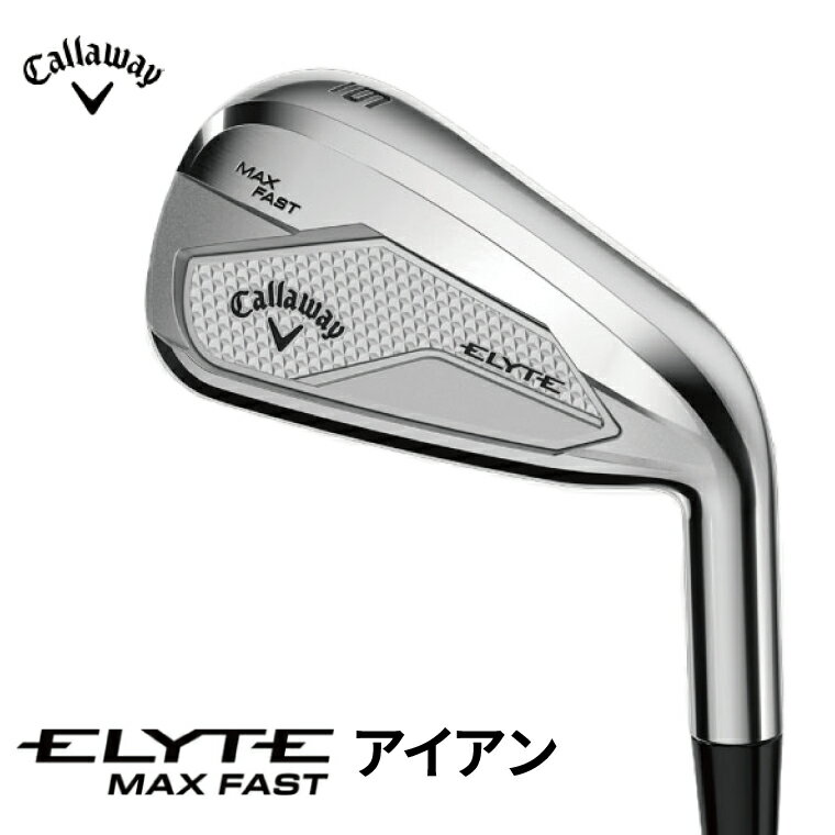 【ふるさと納税】 キャロウェイ ELYTE MAX FAST アイアン Callaway ゴルフ ゴルフクラブ スポーツ エリート