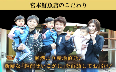 ≪浜茹で≫越前産 せいこがに（生で200g前後） × 3杯【12月発送分】【雌 ズワイガニ 越前ガニ 姿 ボイル 冷蔵 かに カニ 蟹 福井県】希望日指定可 備考欄に希望日をご記入ください [e43-