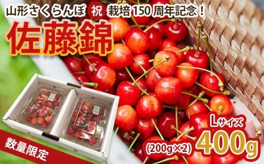 山形さくらんぼ (祝)栽培150周年記念！佐藤錦 400g(200g×2パック) L玉 数量限定！【令和8年産先行予約】FS25-067