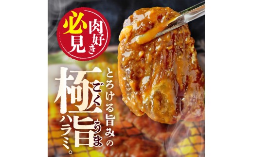 牛ハラミ 塩漬けダレ 1.2kg (400g×3pc)