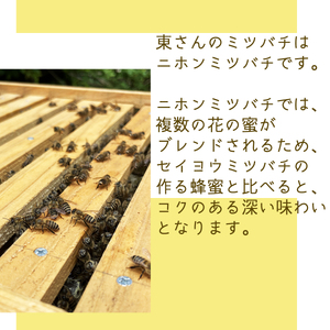天然百花蜂蜜 1.2kg ハチミツ はちみつ honey ニホンミツバチ 天然の花