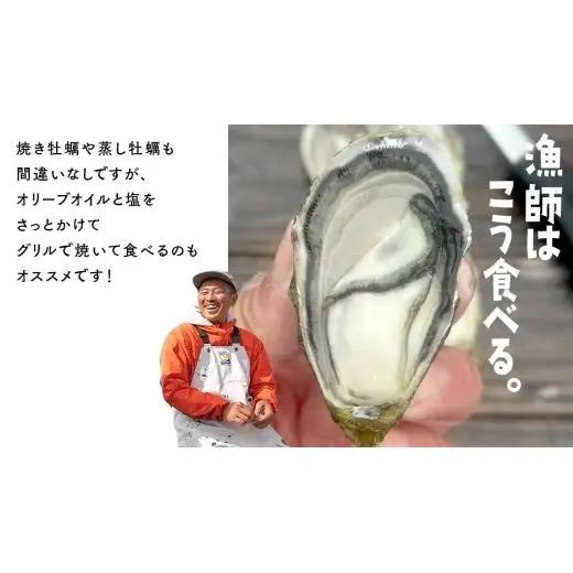 殻付き生牡蠣 冷蔵 約3kg ( 加熱用 ) 26～33個程度 【1月中旬～3月発送】 瀬戸内の離島から届く牡蠣  