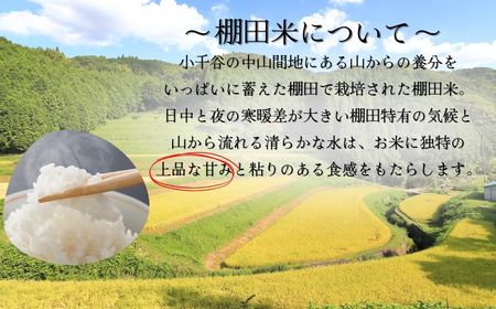 【 令和7年産 先行予約 定期便 】 魚沼産コシヒカリ 10kg×3回（計30kg） 隔月発送 棚田コンテスト入賞者 | 新潟県 小千谷市 新潟県 小千谷市 コシヒカリ