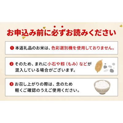 ふるさと納税 西予市 先行予約<令和8年産 米 にじのきらめき 精米 約5kg えひめ りの果樹園 |  | 03