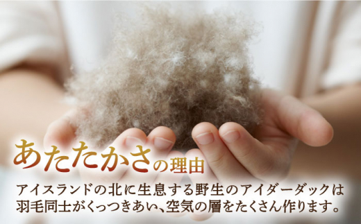 【クイーン】【至福の寝ごこち】 羽毛布団 肌掛け アイダーダウン×綿100％（ホワイト・精紡交撚）《壱岐市》【富士新幸九州】 [JDH086] アイダーダウン 布団 ふとん 綿100％ 肌掛け ダウン