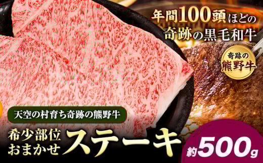 熊野牛 希少部位おまかせステーキ 約500g  有限会社松牛《30日以内に出荷予定(土日祝除く)》 和歌山県 岩出市 希少 肉 牛肉 熊野牛 送料無料 ステーキ 希少部位