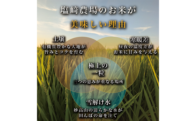 先行予約 定期便3回配送【10月より順次出荷※下旬配送】令和8年産 新潟県 上越市産 コシヒカリ 5kg（計15kg） 白米 精米 送料無料 塩崎農場