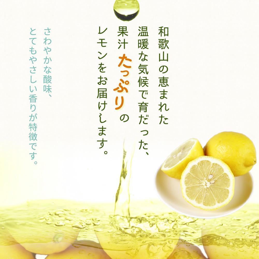 ［ご家庭用訳あり］ 紀州有田産レモン 2.5kg［2026年3月上旬以降発送］［先行予約］［UT46］