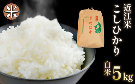 令和7年産 新米 白米 5kg こしひかり 精米 近江米 コシヒカリ 国産 お米 米 おこめ ごはん ご飯 白飯 しろめし こめ ゴハン 御飯 滋賀県産 竜王 ふるさと ランキング 人気 おすすめ