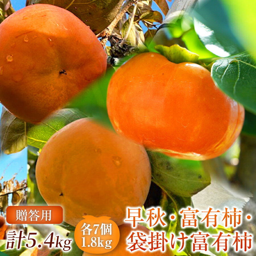 【ふるさと納税】【定期便 3回】特選 銘柿リレー便 贈答用 早秋 富有柿 ( 各7個 / 1.8kg )|【選び抜かれた柿だけを贈る】 柿 フルーツ 果物 完熟 国産 贈答用 贈り物 手土産 ギフト プレゼント お歳暮 季節の果物 高級 岐阜県 本巣郡 北方町