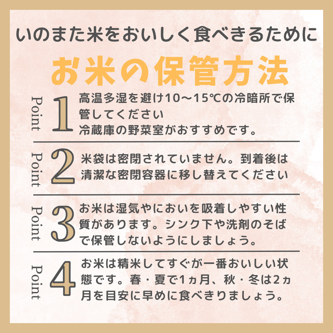 令和8年産コシヒカリ　精米（無洗米）５kg　農家直送　佐渡市いのまた米