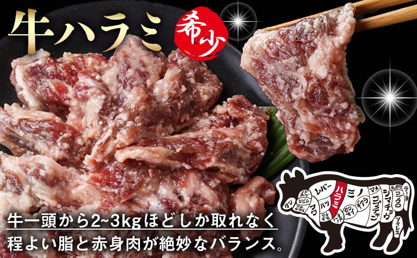 牛ハラミ 塩麹タレ漬け900g_LG8-3309_【肉 牛肉 焼き肉 焼肉 人気 おすすめ】