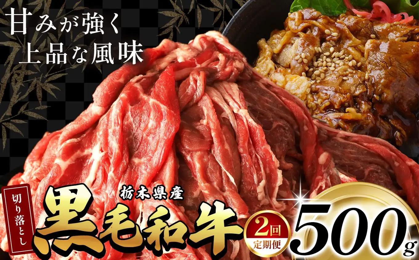 【定期2回】 栃木県産黒毛和牛切り落とし 500g | 霜降り 和牛 切り落とし とろける 品質 柔らかく 銘柄牛 美味しい おいしい 特産品 ふるさと 納税 栃木県 那珂川町 送料無料