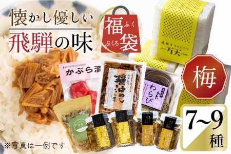 懐かし優しい飛騨の味 福袋【梅】7～9種類 詰め合わせ セット 米 山菜 缶詰 お惣菜 ご飯のお供 熨斗対応 お中元 お歳暮 内祝い 贈答用 ギフト［Q853］