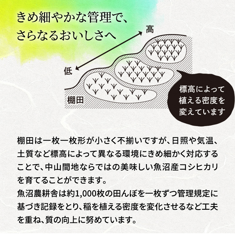 【令和7年産】有機JAS認証米 米農家自慢の 魚沼産 コシヒカリ玄米3kg×1袋 米 お米 こめ こしひかり 玄米 有機 新潟県 魚沼市 魚沼