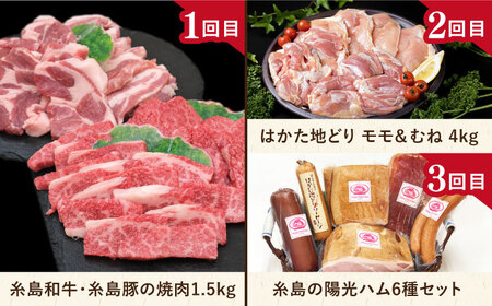 【全12回定期便】肉のお楽しみ定期便 / 15種 食べ比べ セット ( 博多和牛 糸島和牛 糸島豚 はかた地どり イノシシ ウインナー シャトーブリアン ステーキ )[AAH009] 地鶏 モモ ムネ