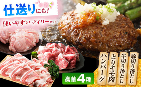 ハンバーグ付き！三栄のデイリーセット 【肉の三栄】 佐賀牛 佐賀県産豚 ありたどり 切り落とし[HAA203]