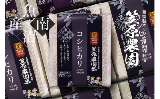 【令和７年産新米】南魚沼産笠原農園米 コシヒカリ ３合真空パック２０個