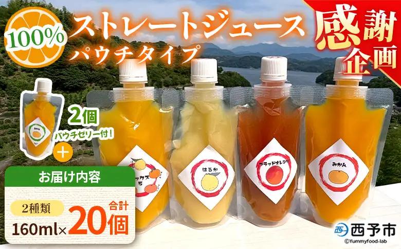 【感謝企画】＜100％ストレートジュース パウチタイプ 160ml×20個（2種類×10）＋パウチゼリー165g×2個＞『1か月以内に順次発送予定』種類はおまかせ 飲み比べ 果物 くだもの フルーツ 柑橘類 みかん 蜜柑 ミカン みかんジュース 飲料 渡江から一歩を踏み出す会 愛媛県 西予市【常温】ATI0066