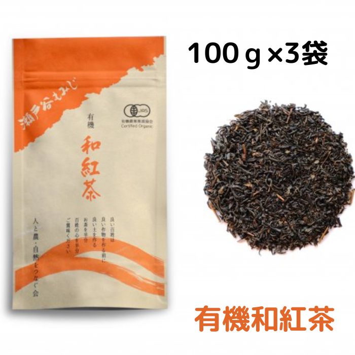 【ふるさと納税】 紅茶 100g × 3袋 国産 お茶 飲料 茶葉 和紅茶 ティー ホット アイス リラックス 農薬不使用 化学肥料不使用 チャック付き 袋 ギフト プレゼント 有機栽培 自然 オーガニック 藤枝市 静岡県