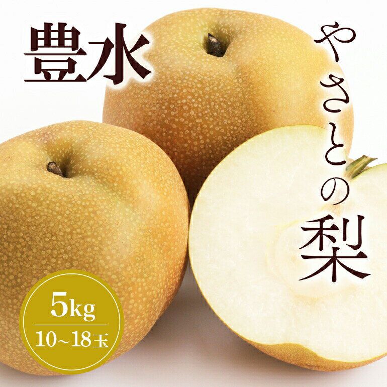 【ふるさと納税】【 2026年 先行予約 】 筑波山麓やさとの梨 ( 豊水 ) 5kg ( 10玉 ～ 18玉 ) 梨 なし ナシ 果物 フルーツ 品種 豊水梨 3L 2L L サイズ 5キロ 産地直送 農家直送 産直 国産 くだもの 甘い 酸味 ギフト 贈答用 家庭用 茨城県産 茨城県 石岡市 (A25-003)