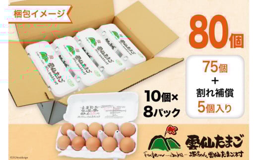 BI036 12回 定期便 雲仙たまごLサイズ  80個 (10個入り×8パック)(75個＋割れ補償5個入り) [ 卵 たまご 生卵 鶏卵 赤卵 玉子 新鮮 塚ちゃん雲仙たまご村 長崎県 島原市 ]
