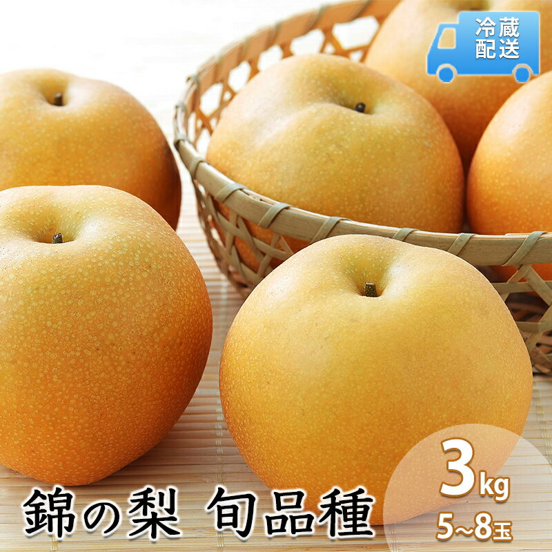 【ふるさと納税】梨 3kg 先行予約 錦の梨 約9玉～14玉 フルーツ なし ナシ 果物 デザート 2025年発送 古里農園 配送不可:離島　お届け：2026年8月1日～10月30日まで
